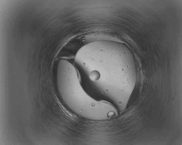 X0000067510828200604211748