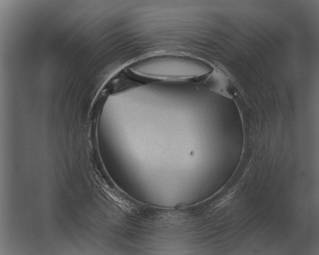 X0000067510830200604211748