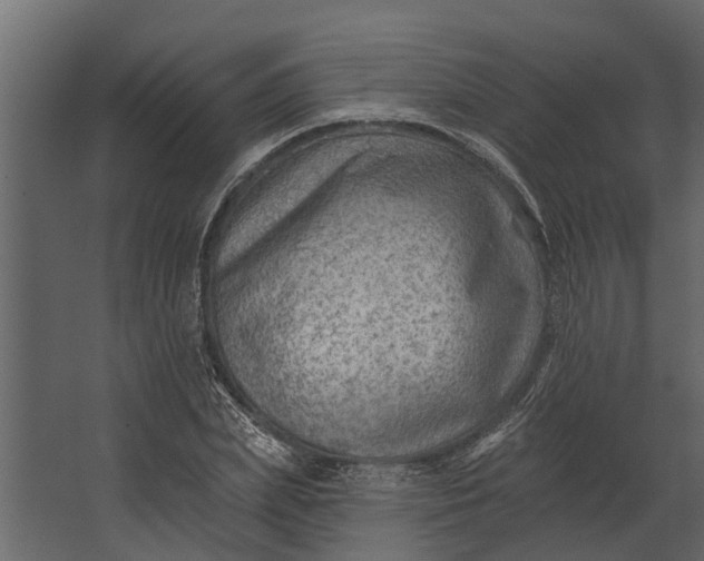 X0000067510831200604211748