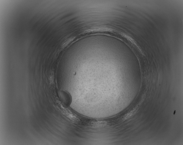 X0000067510833200604211749