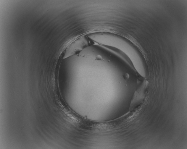 X0000067510834200604211749