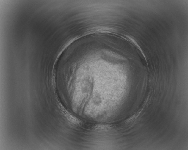 X0000067510835200604211749