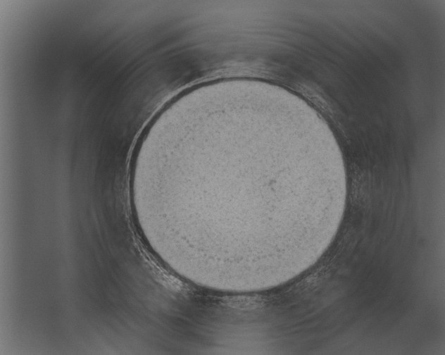 X0000067510836200604211749