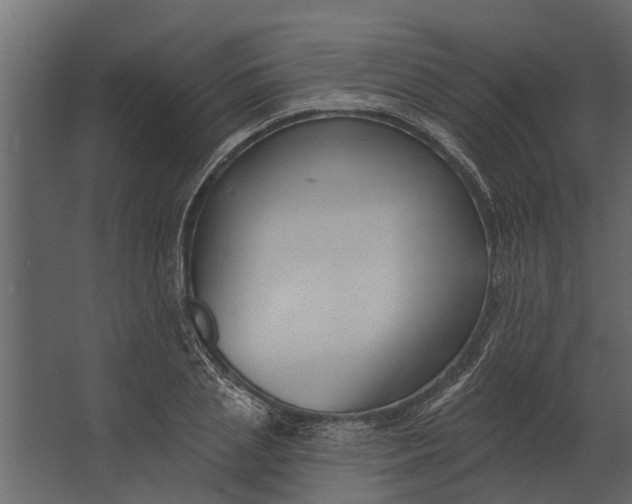 X0000067510837200604211749