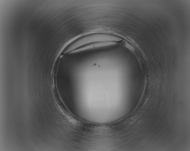 X0000067510838200604211749