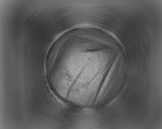 X0000067510839200604211749