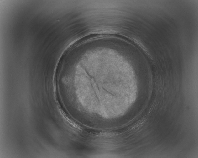 X0000067510840200604211749