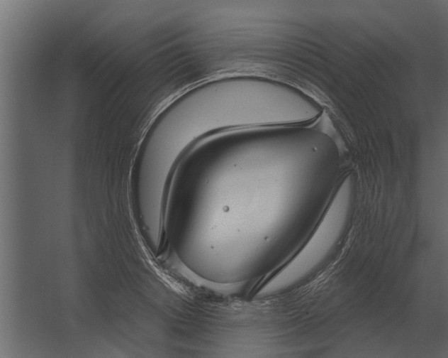 X0000067510842200604211749