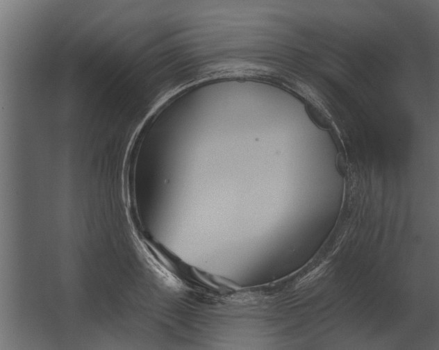 X0000067510843200604211749