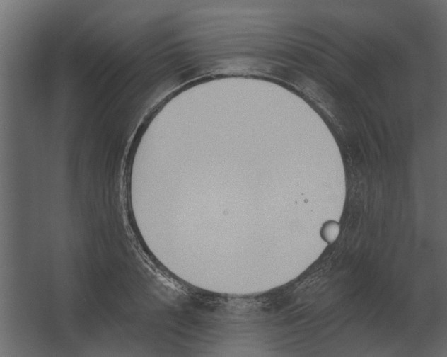 X0000067510848200604211749