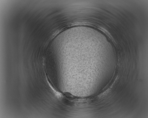 X0000067510849200604211749