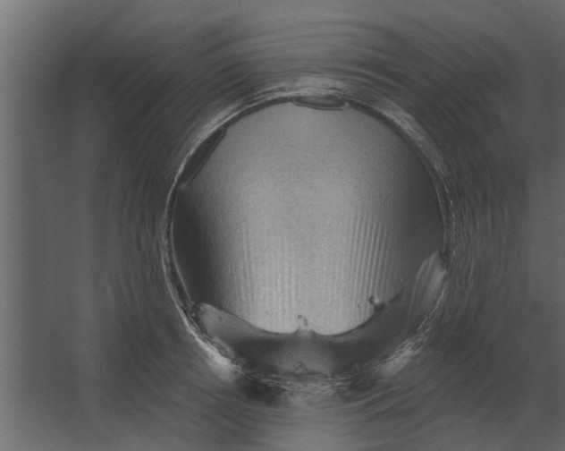 X0000067510850200604211749