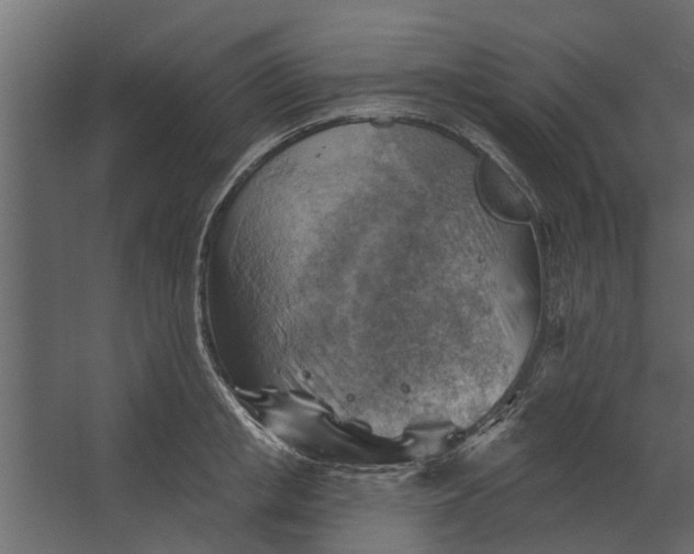 X0000067510853200604211749