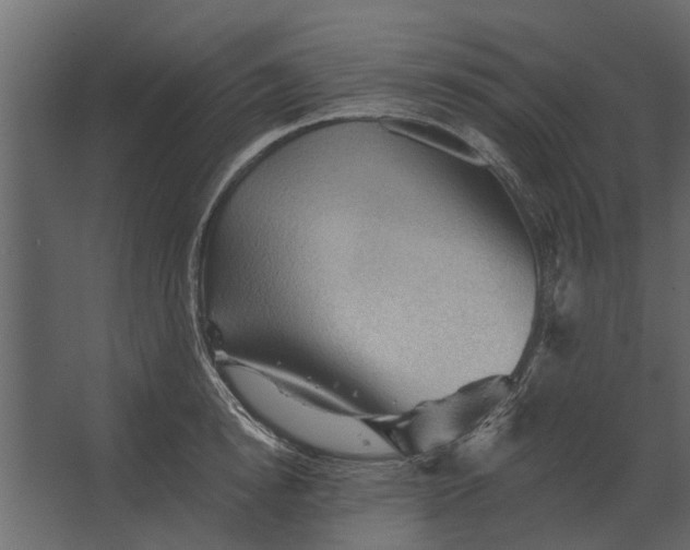 X0000067510854200604211749