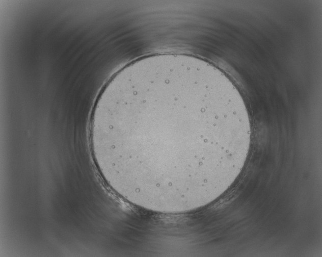 X0000067510856200604211749