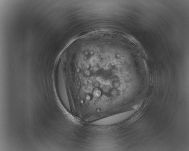 X0000067510859200604211749