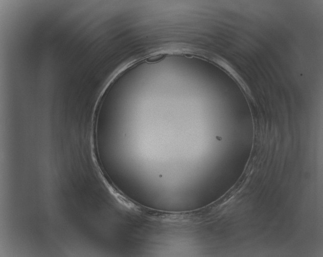 X0000067510861200604211749