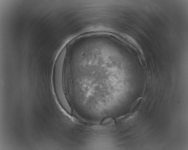 X0000067510863200604211749