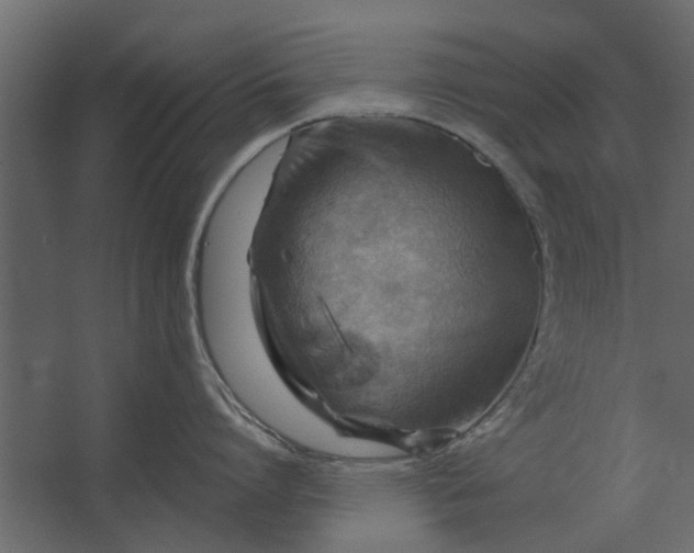 X0000067510864200604211749