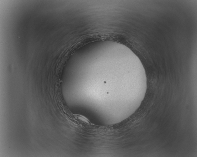 X0000067510865200604211748