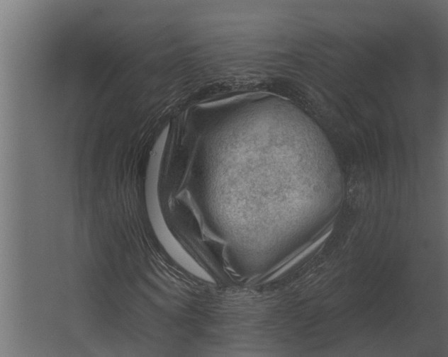 X0000067510866200604211748