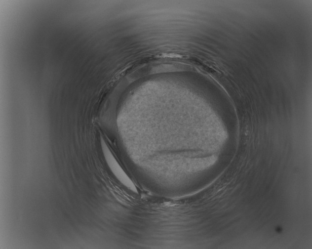 X0000067510868200604211748