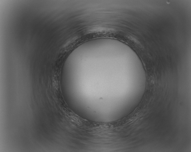 X0000067510869200604211748