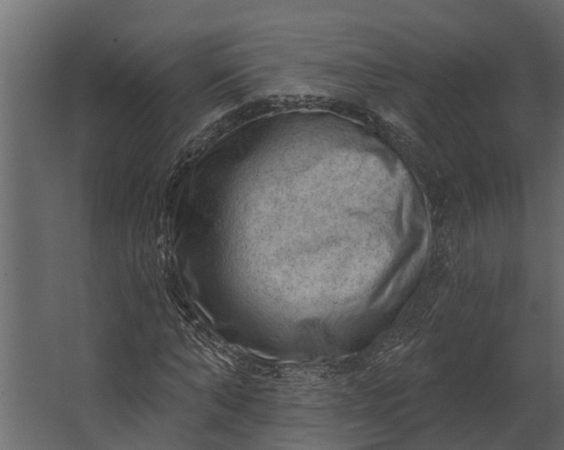 X0000067510870200604211748