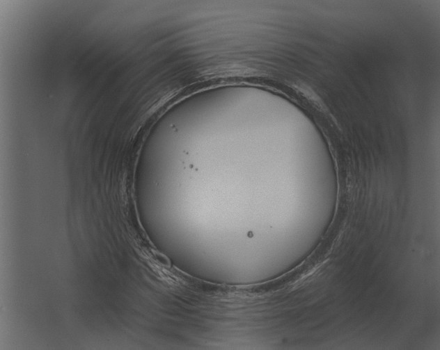 X0000067510873200604211748