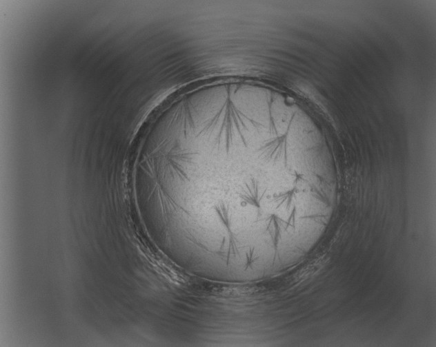 X0000067510875200604211748