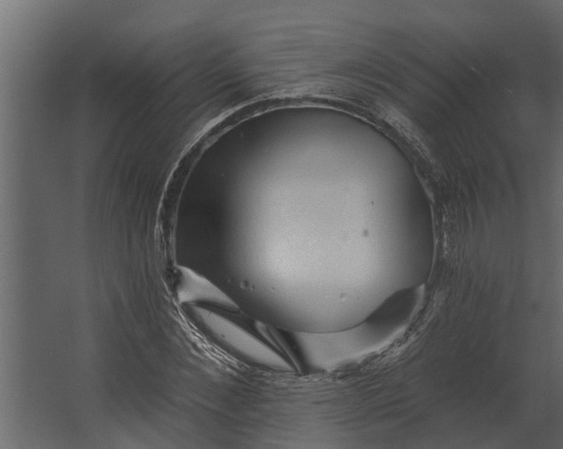 X0000067510876200604211748