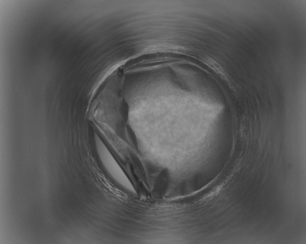 X0000067510877200604211748