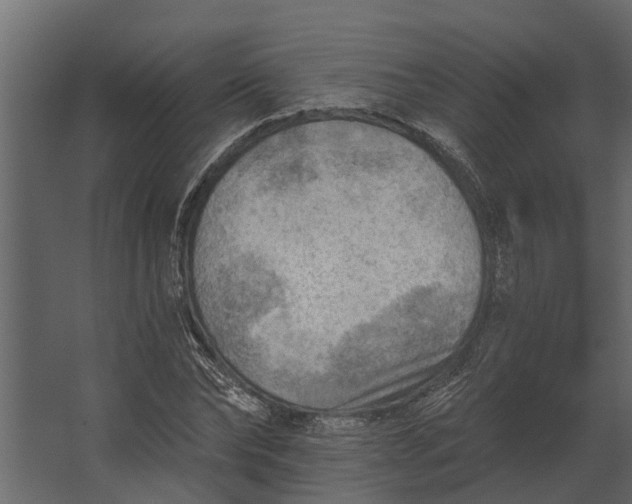 X0000067510878200604211748