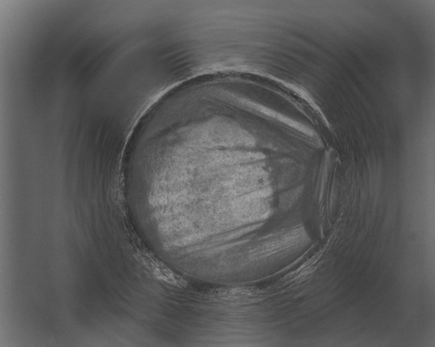 X0000067510879200604211748