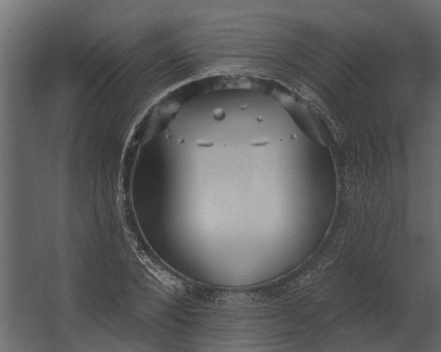 X0000067510880200604211748