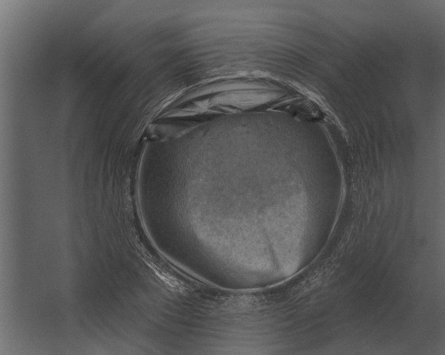 X0000067510881200604211748