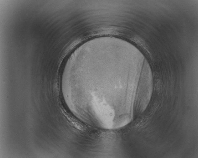 X0000067510882200604211748