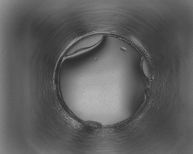 X0000067510884200604211748