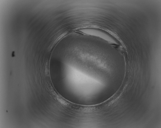 X0000067510889200604211748