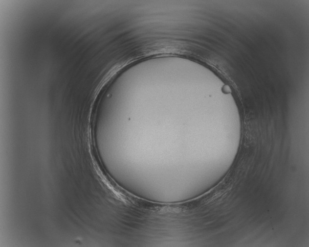 X0000067510890200604211748