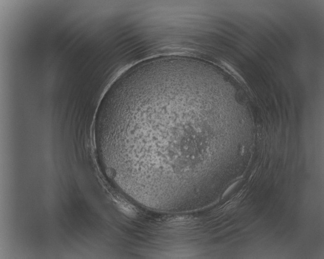 X0000067510891200604211748