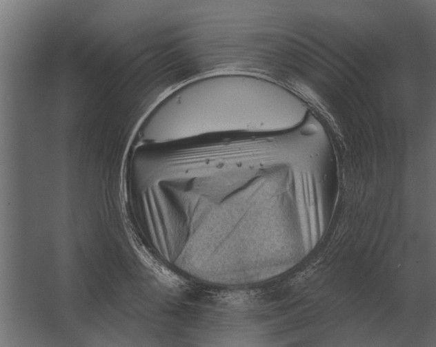 X0000067510892200604211748