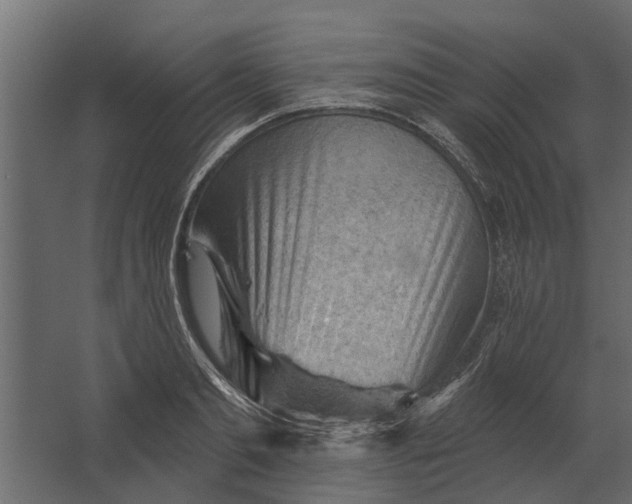 X0000067510893200604211748