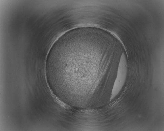 X0000067510895200604211748