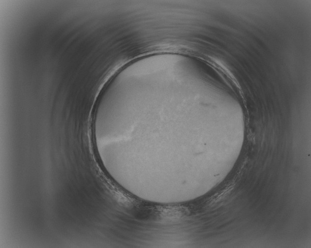 X0000067510899200604211748