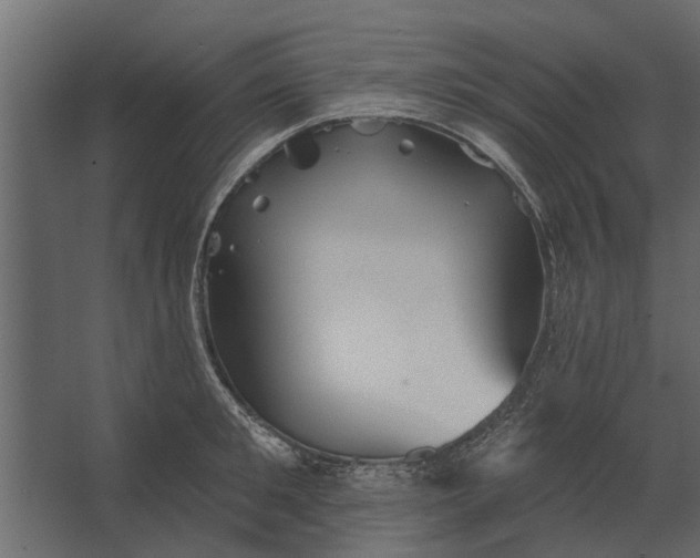 X0000067510901200604211748