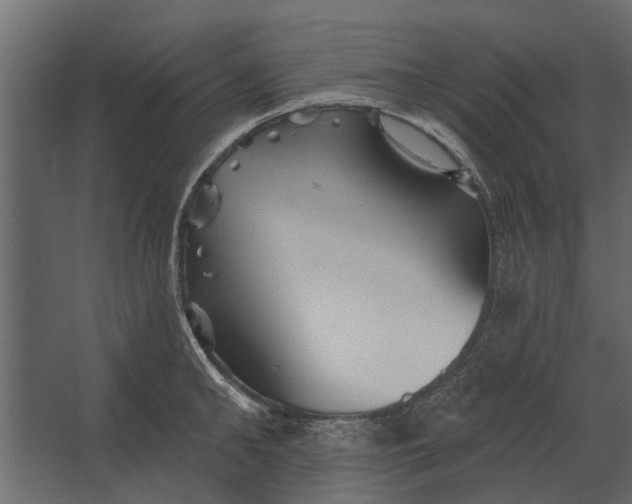 X0000067510902200604211748