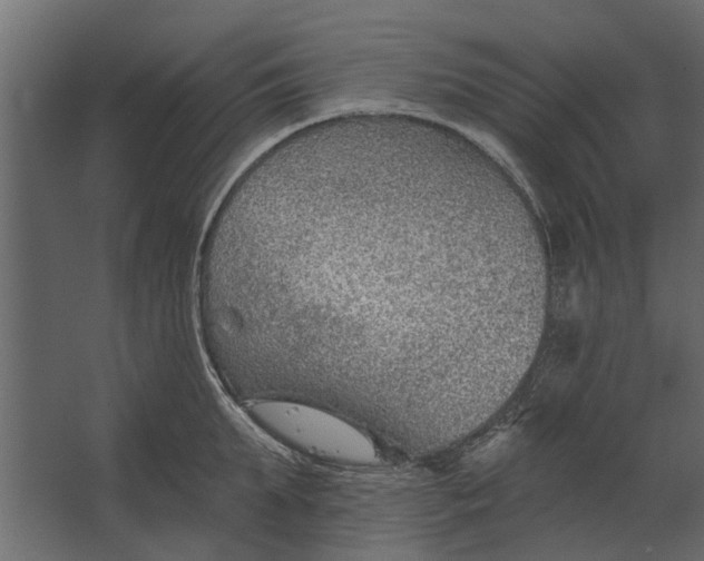 X0000067510903200604211748