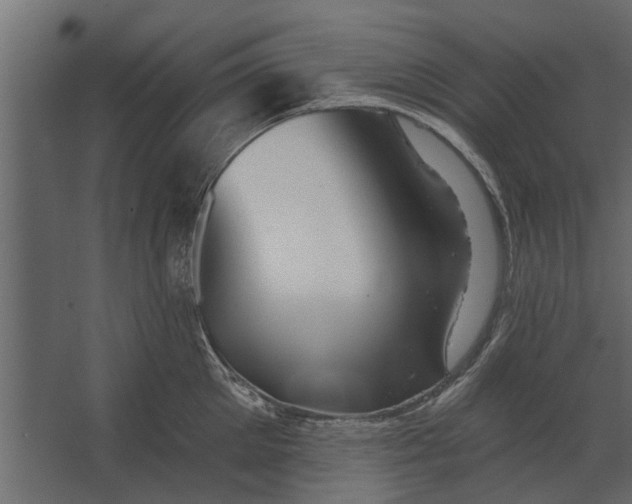 X0000067510905200604211748