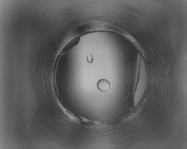 X0000067510909200604211748